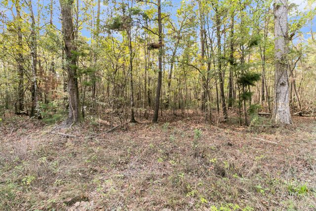 107 Weir Street, Summerville, SC 29483