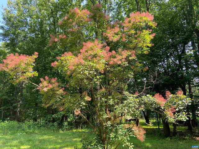 1211 LANETOWN RD, Crozet, VA 22932