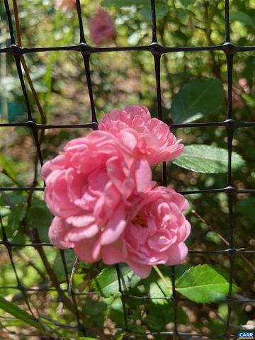 1211 LANETOWN RD, Crozet, VA 22932