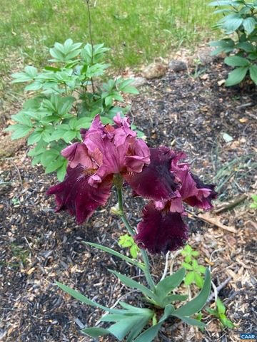 1211 LANETOWN RD, Crozet, VA 22932