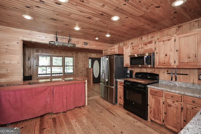 303 Pine Lane, Mineral Bluff, GA 30559