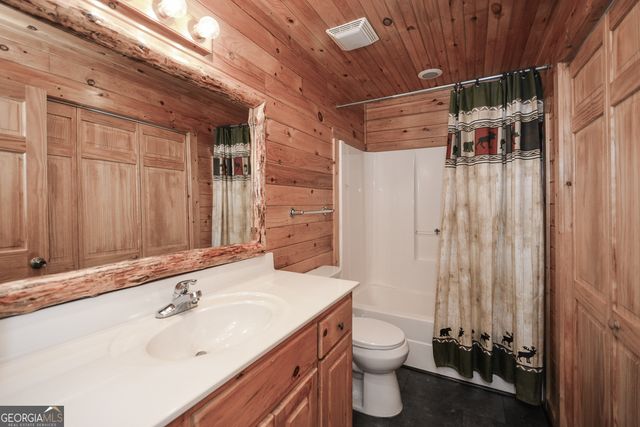 303 Pine Lane, Mineral Bluff, GA 30559