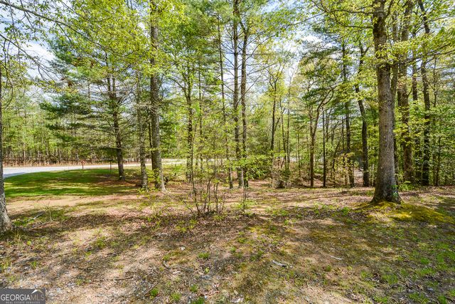 303 Pine Lane, Mineral Bluff, GA 30559