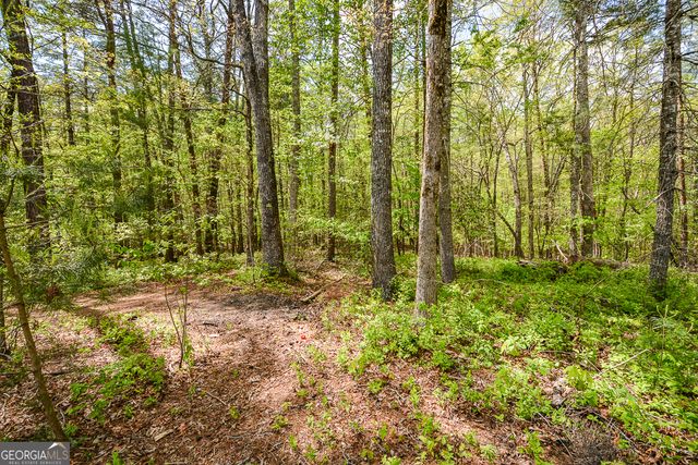 303 Pine Lane, Mineral Bluff, GA 30559
