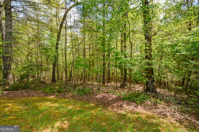 303 Pine Lane, Mineral Bluff, GA 30559