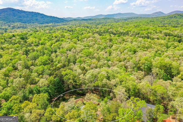 303 Pine Lane, Mineral Bluff, GA 30559