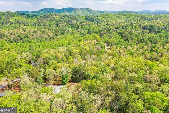 303 Pine Lane, Mineral Bluff, GA 30559
