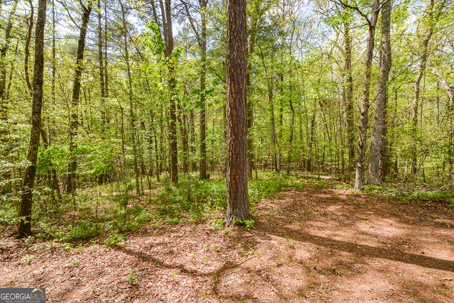 303 Pine Lane, Mineral Bluff, GA 30559