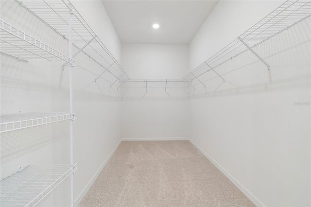 6333 JENSEN VIEW AVENUE, Apollo Beach, FL 33572