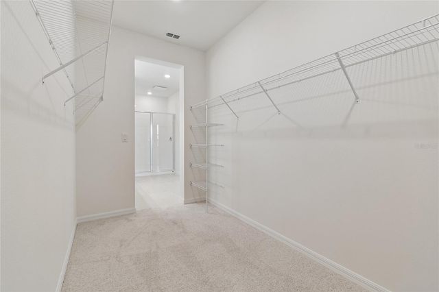 6333 JENSEN VIEW AVENUE, Apollo Beach, FL 33572