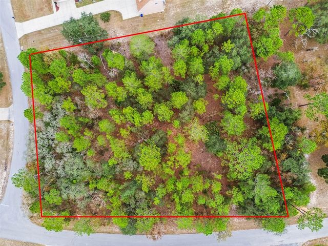 3435 W DANNY COURT, Beverly Hills, FL 34465