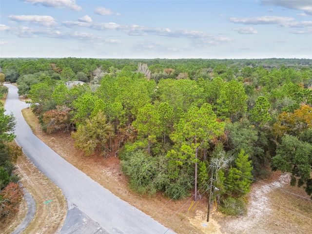 3435 W DANNY COURT, Beverly Hills, FL 34465