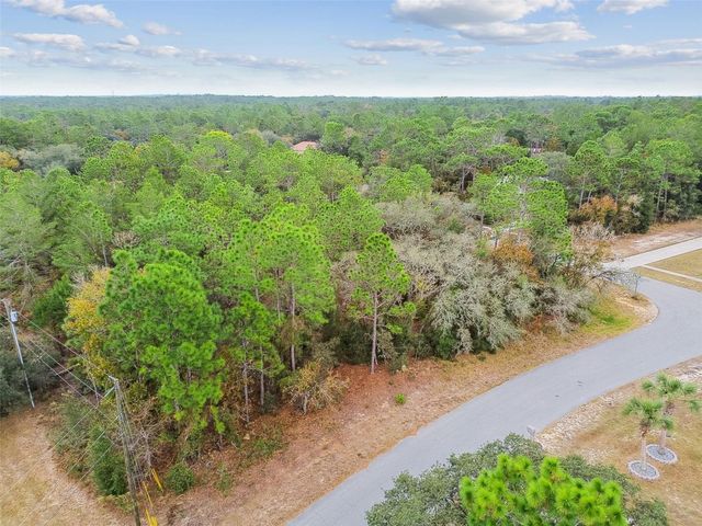 3435 W DANNY COURT, Beverly Hills, FL 34465