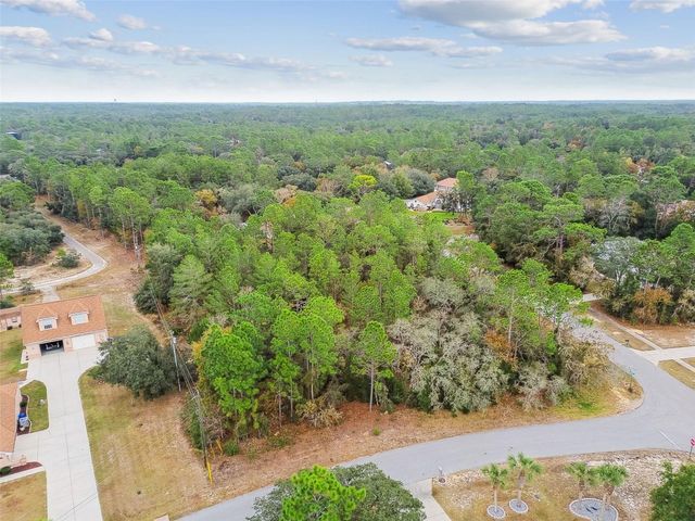 3435 W DANNY COURT, Beverly Hills, FL 34465