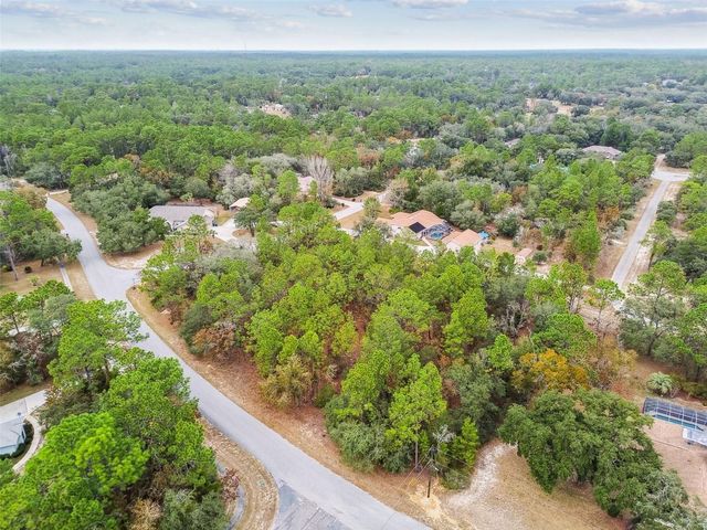 3435 W DANNY COURT, Beverly Hills, FL 34465