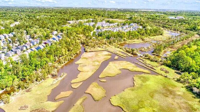 3020 Candela Grove Drive, Charleston, SC 29414
