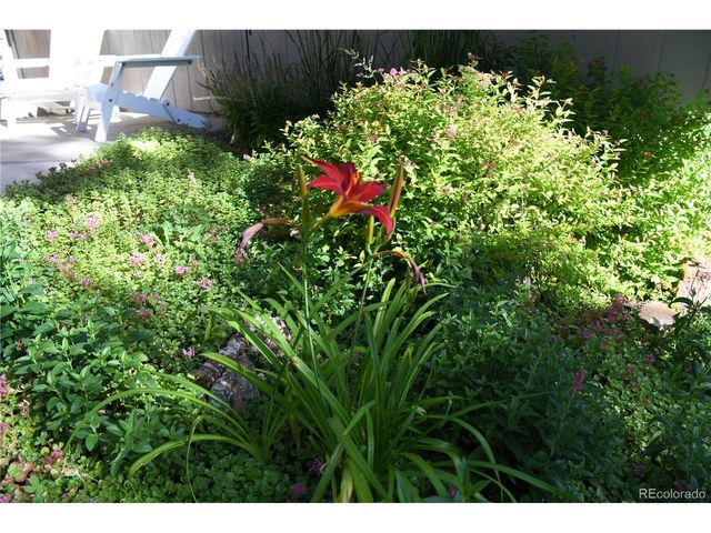 4039 Histead Way, Evergreen, CO 80439