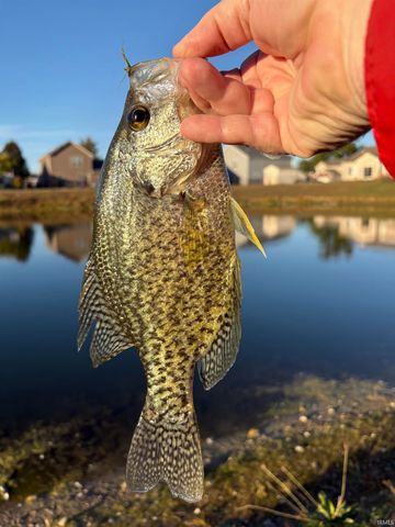 908 Zartman Road, Kokomo, IN 46902