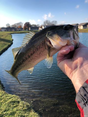 908 Zartman Road, Kokomo, IN 46902