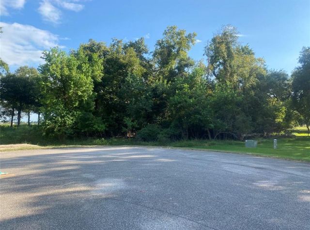 17850 Indian Forest Court, Rosharon, TX 77583