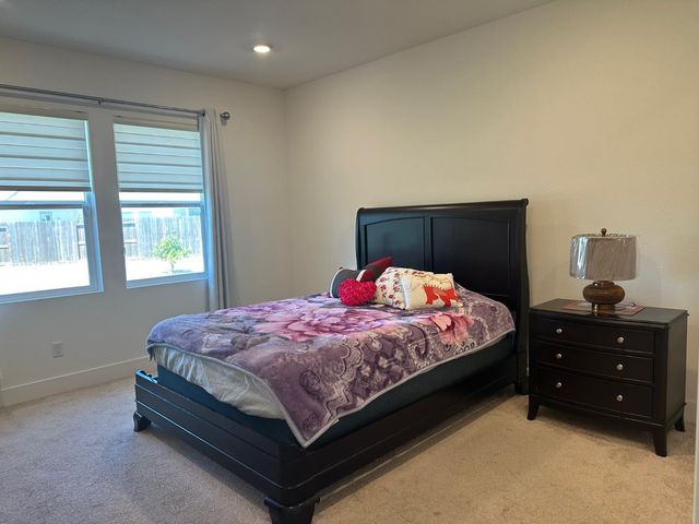 15583 Kellogg Crk, Lathrop, CA 95330