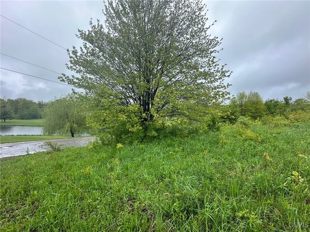 263 Cogar Drive, Schuyler, NY 13340