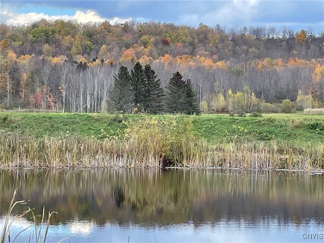263 Cogar Drive, Schuyler, NY 13340