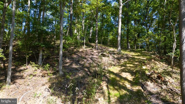 1242 N LAKESHORE DR, Louisa, VA 23093