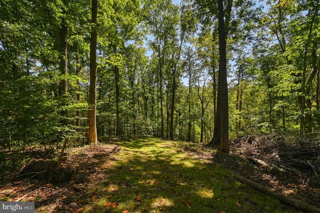 1242 N LAKESHORE DR, Louisa, VA 23093