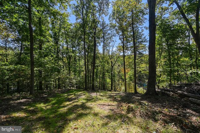 1242 N LAKESHORE DR, Louisa, VA 23093