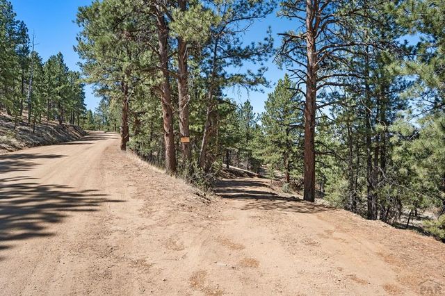 1341 County Rd 327, Westcliffe, CO 81252