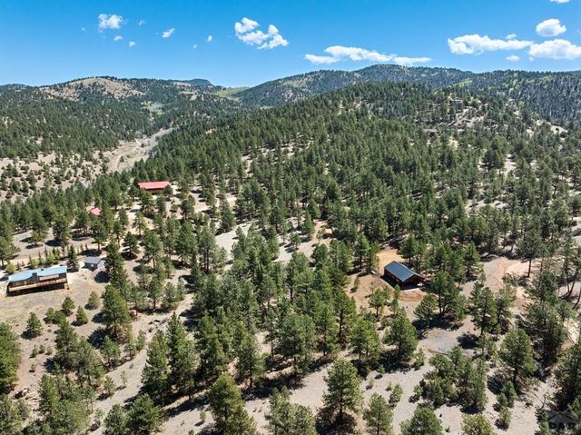 1341 County Rd 327, Westcliffe, CO 81252