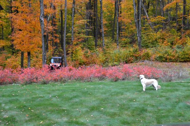 54 Upton Road, Dover, VT 05356