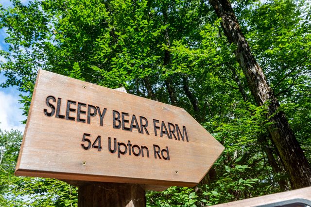 54 Upton Road, Dover, VT 05356