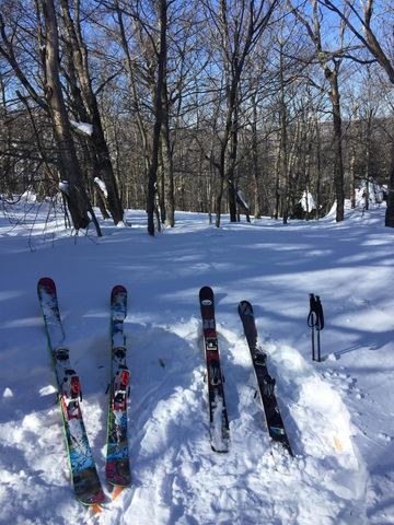 54 Upton Road, Dover, VT 05356