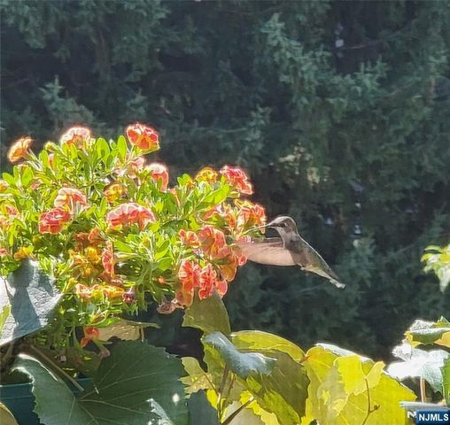 48 Quartz Lane, Paterson, NJ 07501