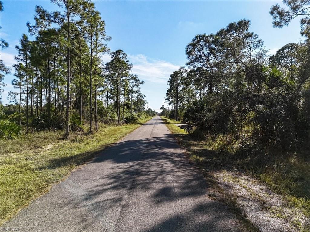 1202 Hamilton AVE, LEHIGH ACRES, FL 33972 — photo 3