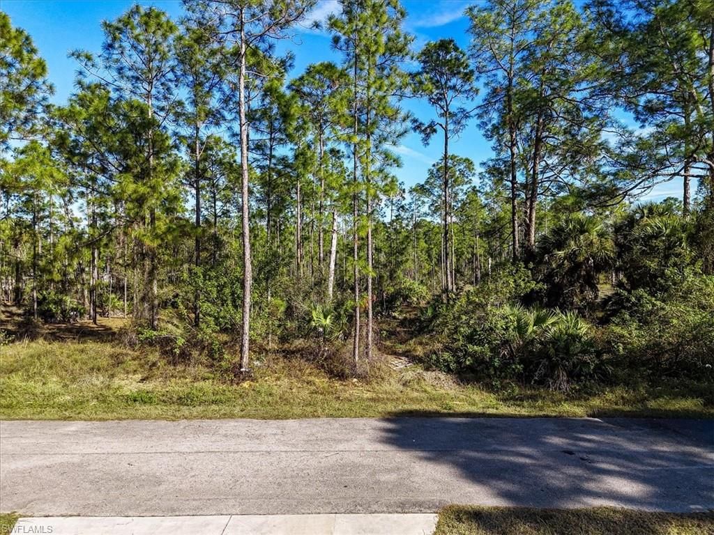 1202 Hamilton AVE, LEHIGH ACRES, FL 33972 — photo 5