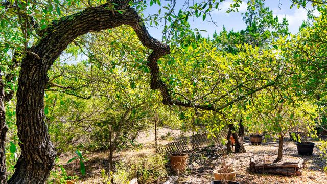 601 Hays Country Acres RD, Dripping Springs, TX 78620