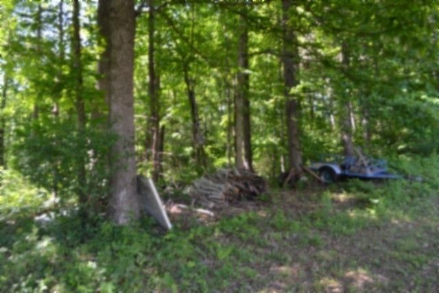 318 Rock Springs Rd, Celina, TN 38551