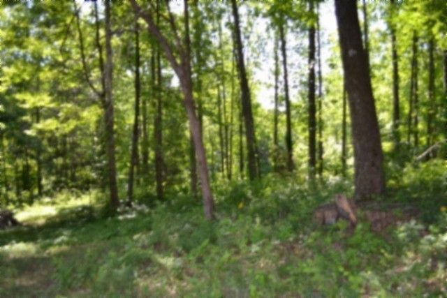 318 Rock Springs Rd, Celina, TN 38551