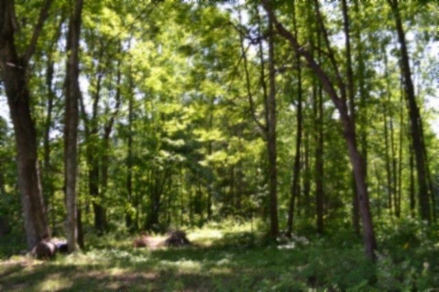 318 Rock Springs Rd, Celina, TN 38551