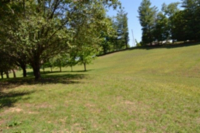 318 Rock Springs Rd, Celina, TN 38551