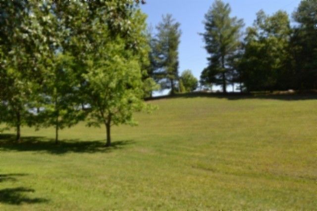 318 Rock Springs Rd, Celina, TN 38551