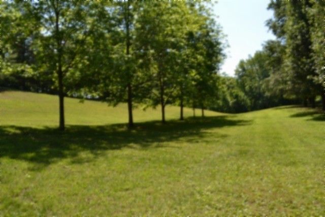 318 Rock Springs Rd, Celina, TN 38551