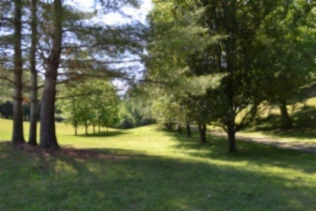 318 Rock Springs Rd, Celina, TN 38551