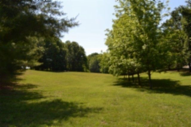318 Rock Springs Rd, Celina, TN 38551