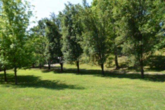 318 Rock Springs Rd, Celina, TN 38551