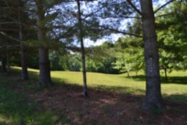 318 Rock Springs Rd, Celina, TN 38551