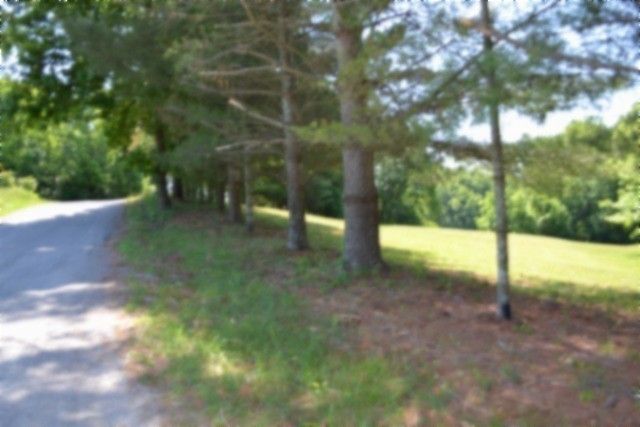 318 Rock Springs Rd, Celina, TN 38551